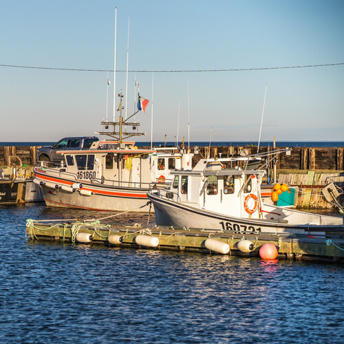 9 activités à ne pas manquer à Pointe-Verte et Nigadoo | Été 2021