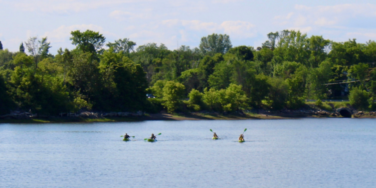 Locations ECA - Centre-ville de Bathurst